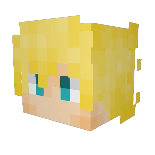 Znk4 Minecraft avatar head, 3D render