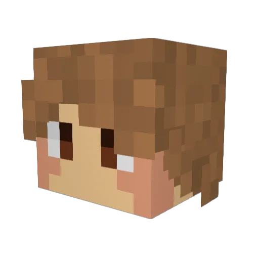 Znol Minecraft avatar head, 3D render