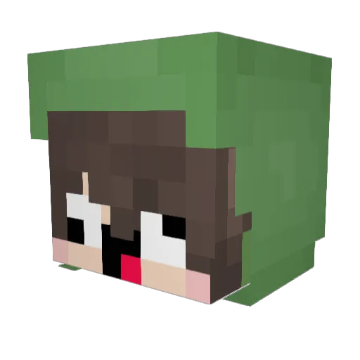 Znonn Minecraft avatar head, 3D render