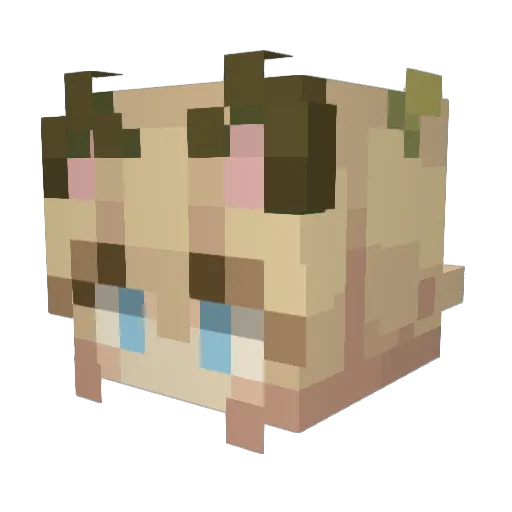 Znorri Minecraft avatar head, 3D render