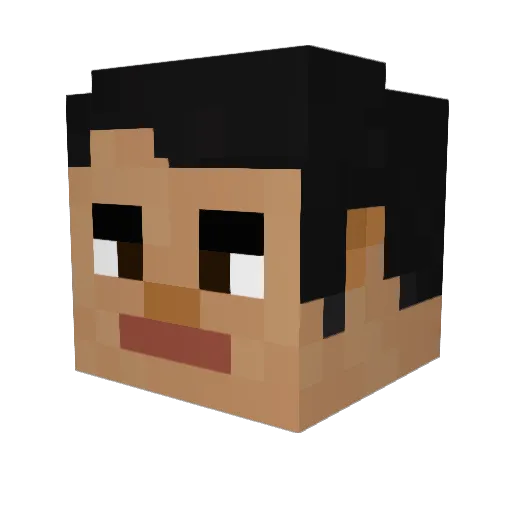 Zo0Feeling Minecraft avatar head, 3D render