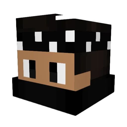 ZoKewl Minecraft avatar head, 3D render