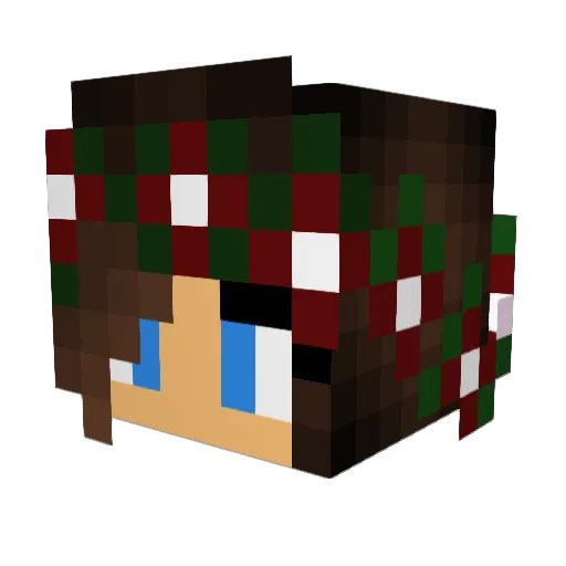 ZoMbIeNoVa Minecraft avatar head, 3D render