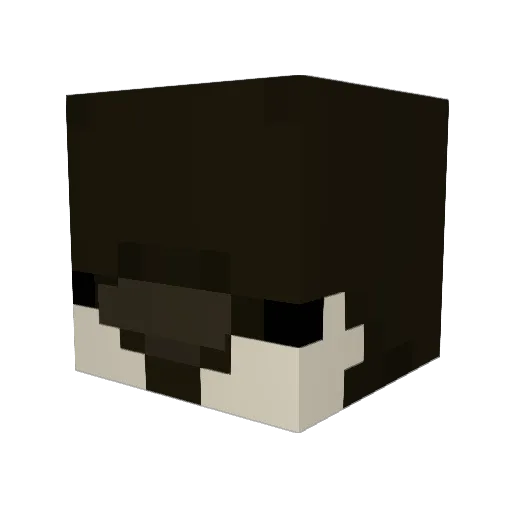 ZoNi7567 Minecraft avatar head, 3D render