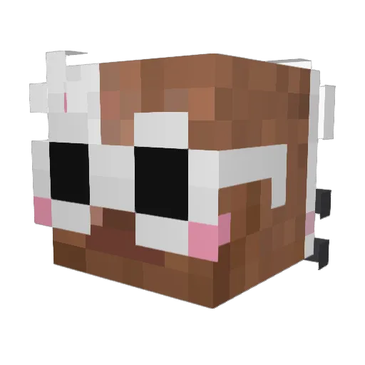 ZoOcE Minecraft avatar head, 3D render