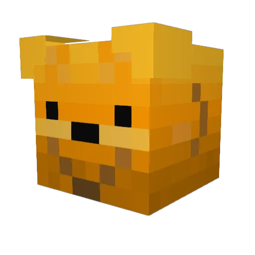 ZoZo123 Minecraft avatar head, 3D render