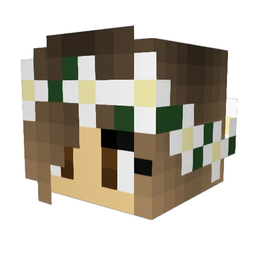 ZoZoe123 Minecraft avatar head, 3D render