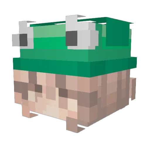 ZoaUWU Minecraft avatar head, 3D render