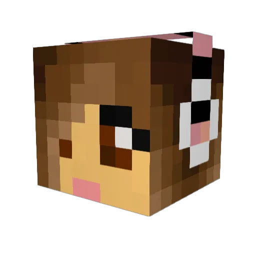 ZoaZoa4a Minecraft avatar head, 3D render