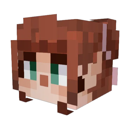 Zoachi Minecraft avatar head, 3D render