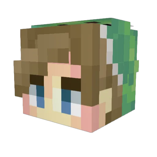 Zoads Minecraft avatar head, 3D render