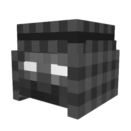 Zoard3 Minecraft avatar head, 3D render