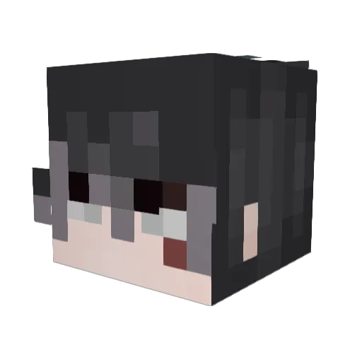Zoarin Minecraft avatar head, 3D render
