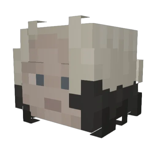 Zoaswey Minecraft avatar head, 3D render