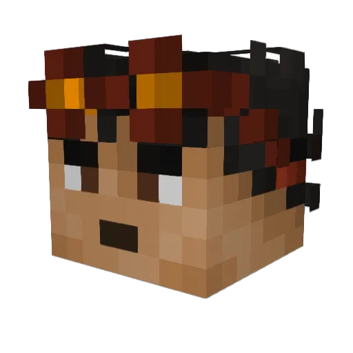 Zobby14 Minecraft avatar head, 3D render