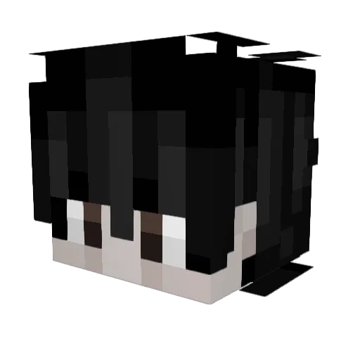 Zobretti Minecraft avatar head, 3D render