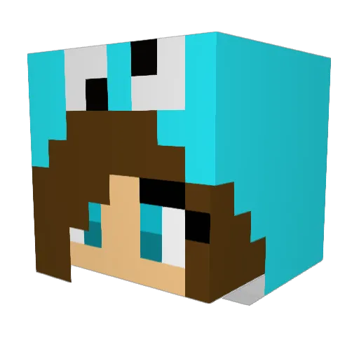 Zoca2006 Minecraft avatar head, 3D render
