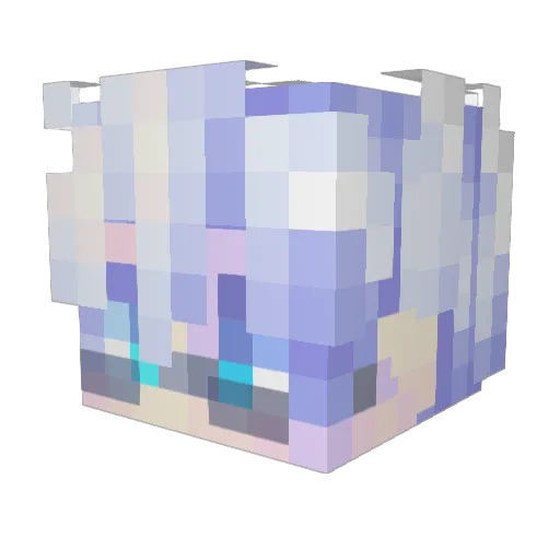 Zoccro Minecraft avatar head, 3D render