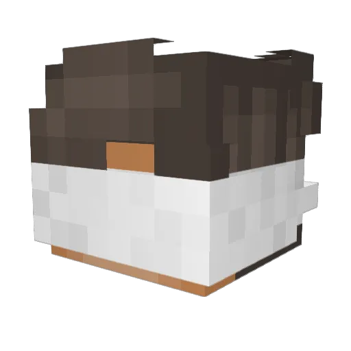 Zocer Minecraft avatar head, 3D render