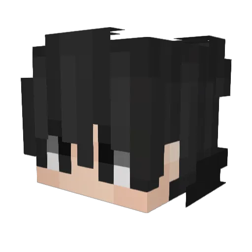 ZockerJan2000 Minecraft avatar head, 3D render