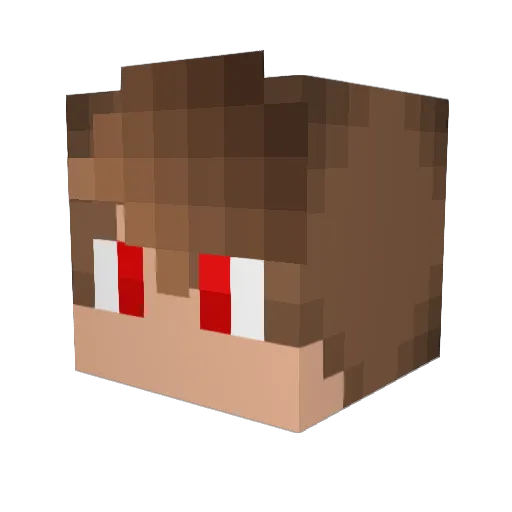 Zocker_boy Minecraft avatar head, 3D render