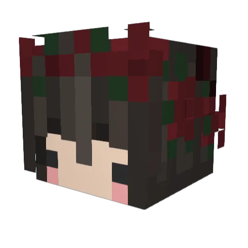Zockergirl__20 Minecraft avatar head, 3D render