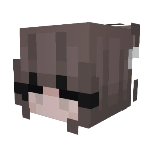 ZockerheroMf Minecraft avatar head, 3D render