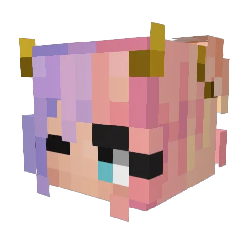 Zodarb99 Minecraft avatar head, 3D render