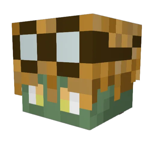 Zodbob Minecraft avatar head, 3D render