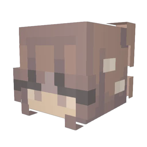 Zodchari Minecraft avatar head, 3D render