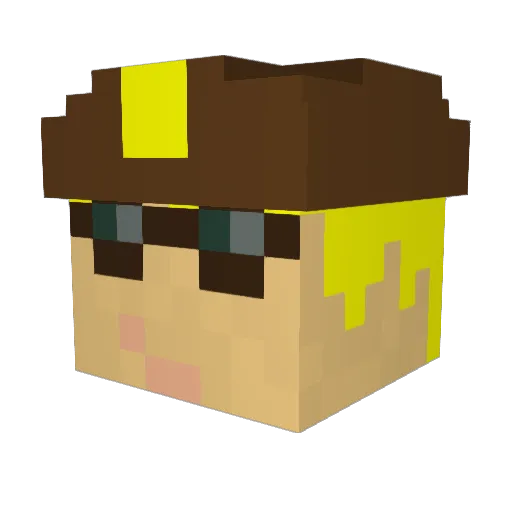 Zodiac19 Minecraft avatar head, 3D render