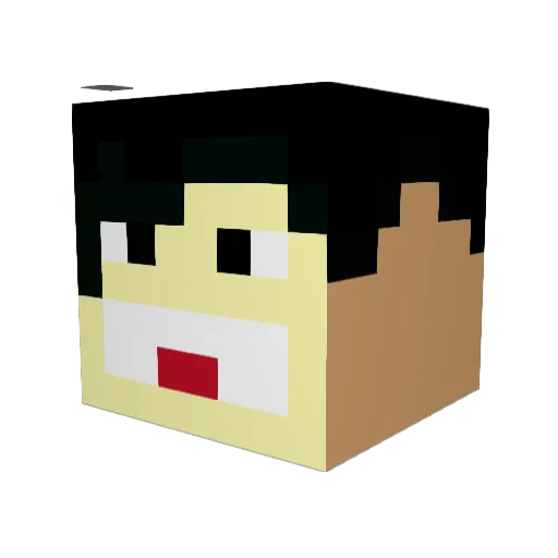 Zodiac296 Minecraft avatar head, 3D render
