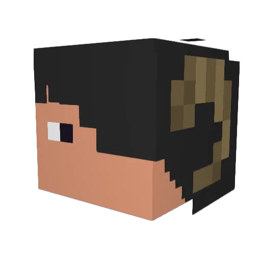 Zodiac404 Minecraft avatar head, 3D render