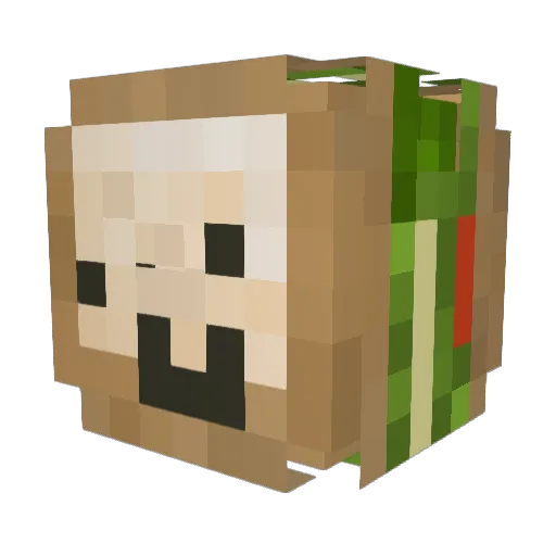 ZodiacChair Minecraft avatar head, 3D render