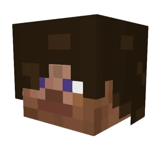 Zodiacen8 Minecraft avatar head, 3D render