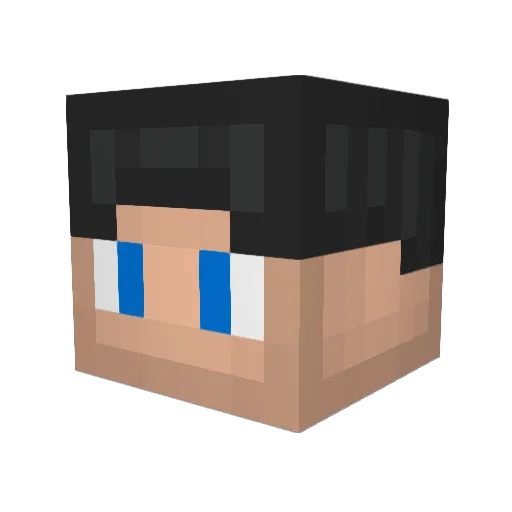 Zodian1 Minecraft avatar head, 3D render