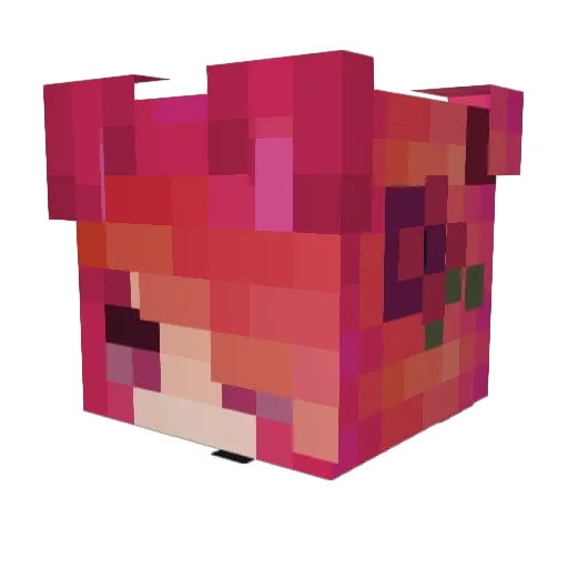 Zodra2317 Minecraft avatar head, 3D render