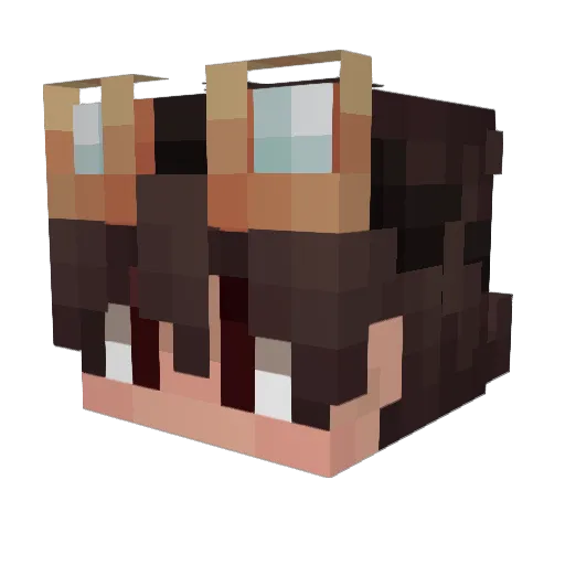 Zodrax20 Minecraft avatar head, 3D render