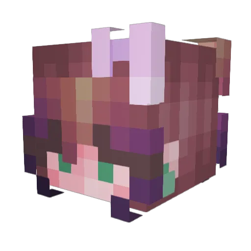 ZodyBear Minecraft avatar head, 3D render