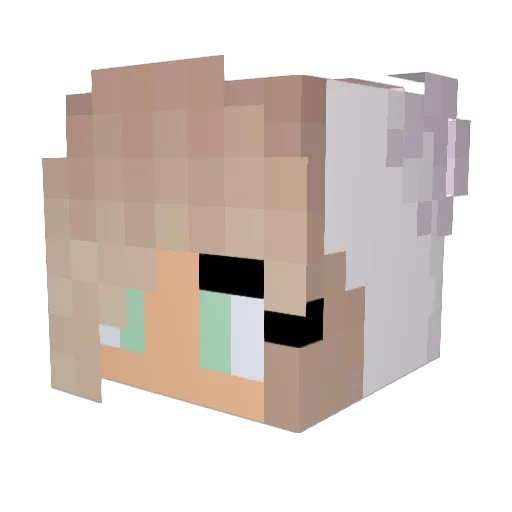 Zoe0202 Minecraft avatar head, 3D render