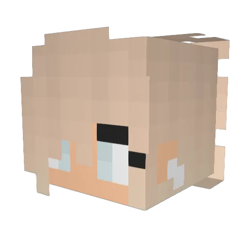 Zoe1020 Minecraft avatar head, 3D render