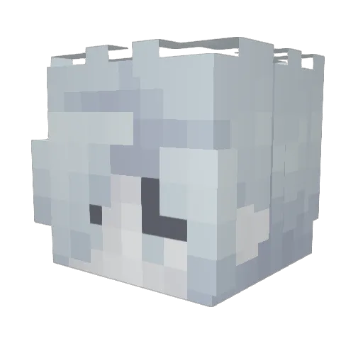 Zoe14c Minecraft avatar head, 3D render