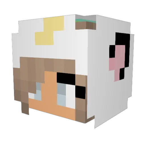 Zoe154 Minecraft avatar head, 3D render