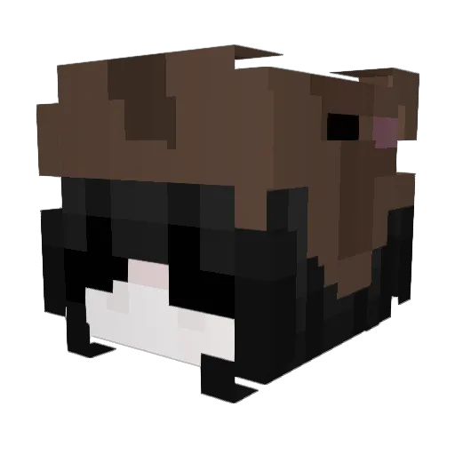 Zoe654321 Minecraft avatar head, 3D render