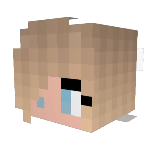 ZoeButterfly819 Minecraft avatar head, 3D render