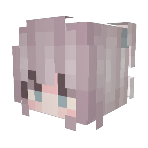 ZoeDolphin Minecraft avatar head, 3D render