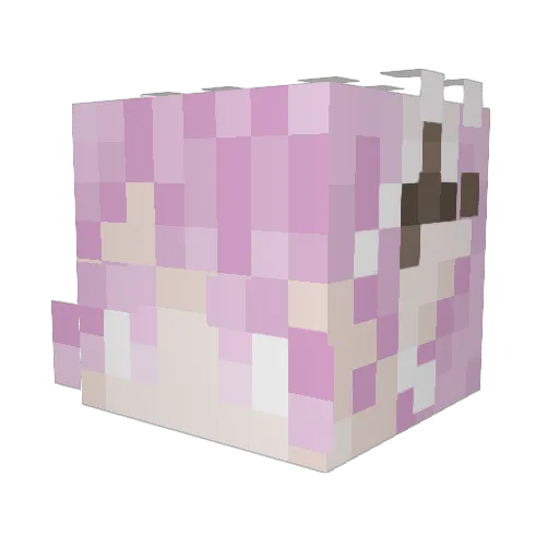 ZoeGold Minecraft avatar head, 3D render