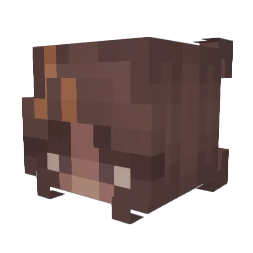 ZoeInez Minecraft avatar head, 3D render