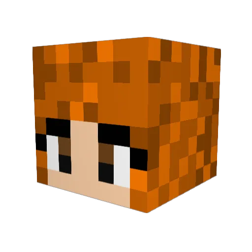 ZoeJayne Minecraft avatar head, 3D render