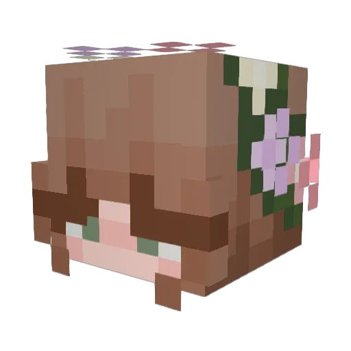 ZoeLong99 Minecraft avatar head, 3D render